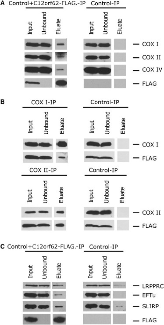 Figure 5