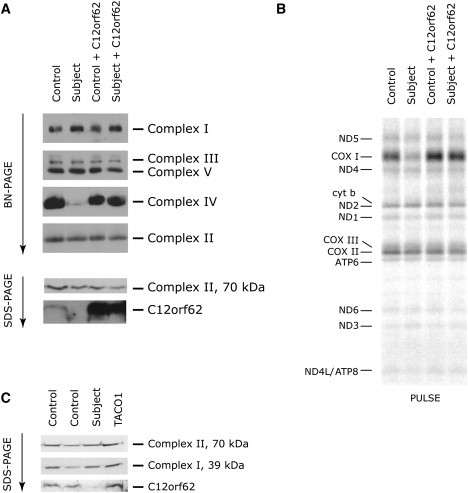 Figure 3