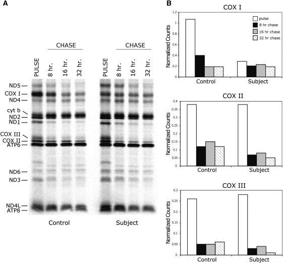 Figure 6