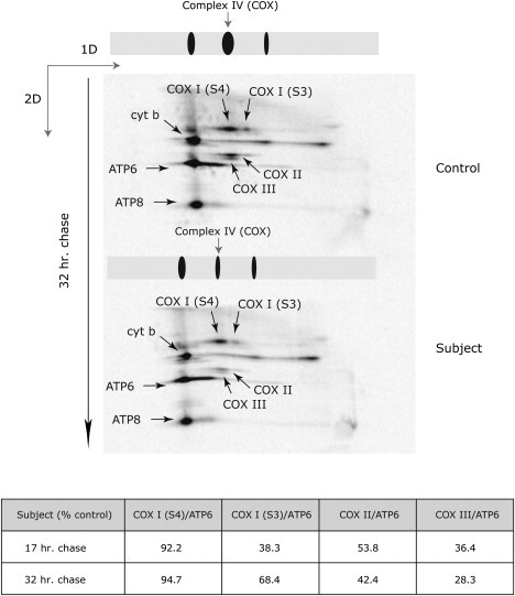 Figure 7