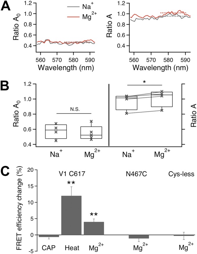 Figure 9.