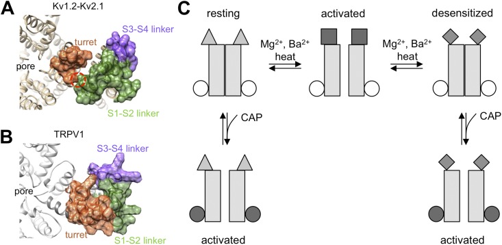 Figure 10.