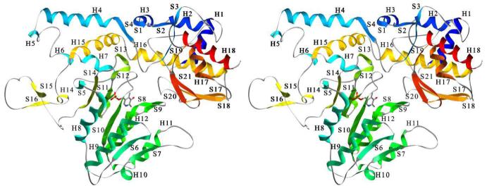 Figure 2