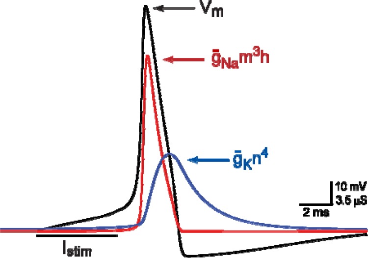 Figure 4.