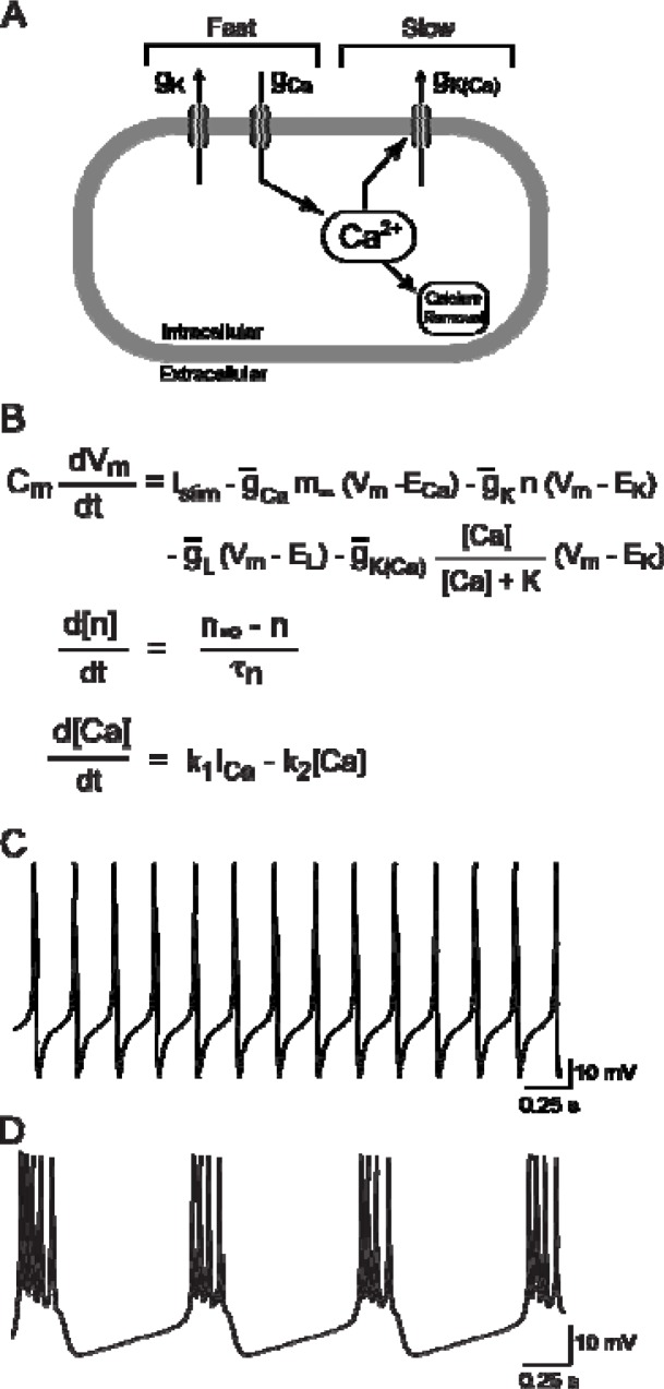 Figure 7.