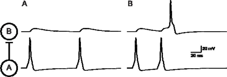 Figure 10.