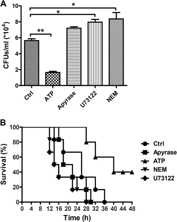 FIG 3