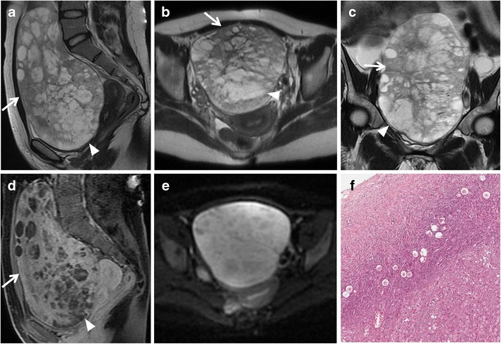 Fig. 9