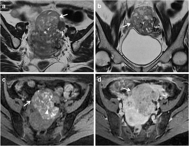 Fig. 8