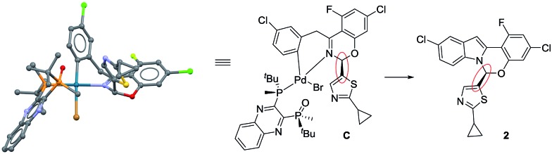 Scheme 4