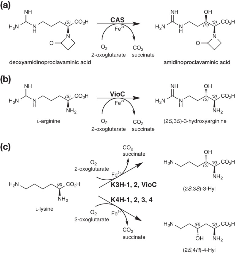 FIG 1