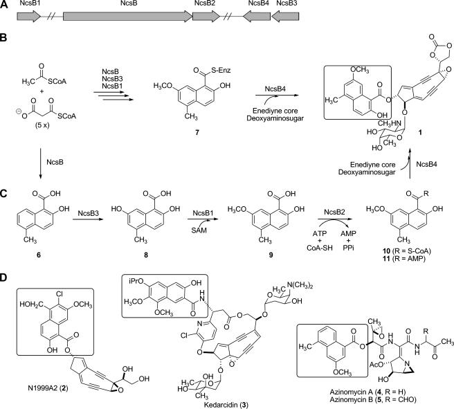 FIGURE 1.