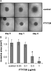 Fig. 4.