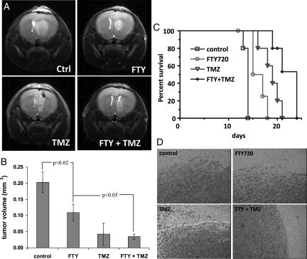 Fig. 6.