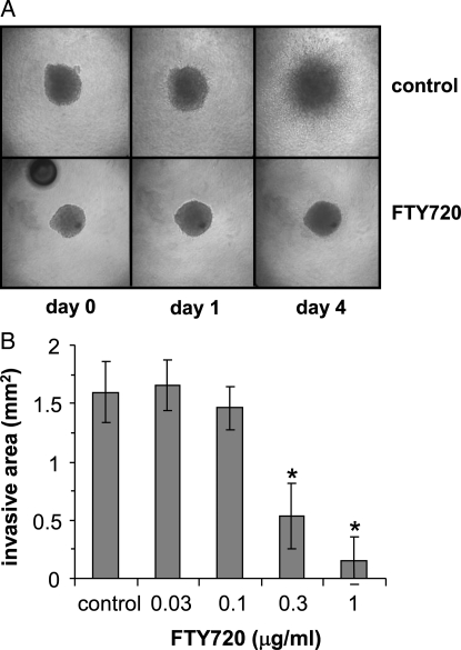 Fig. 4.