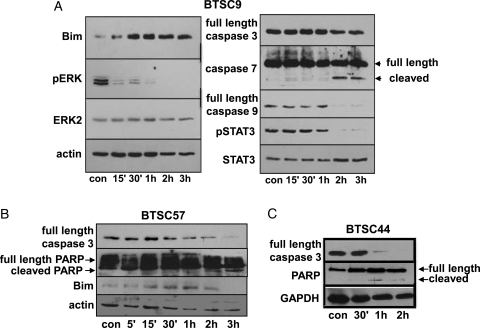 Fig. 3.