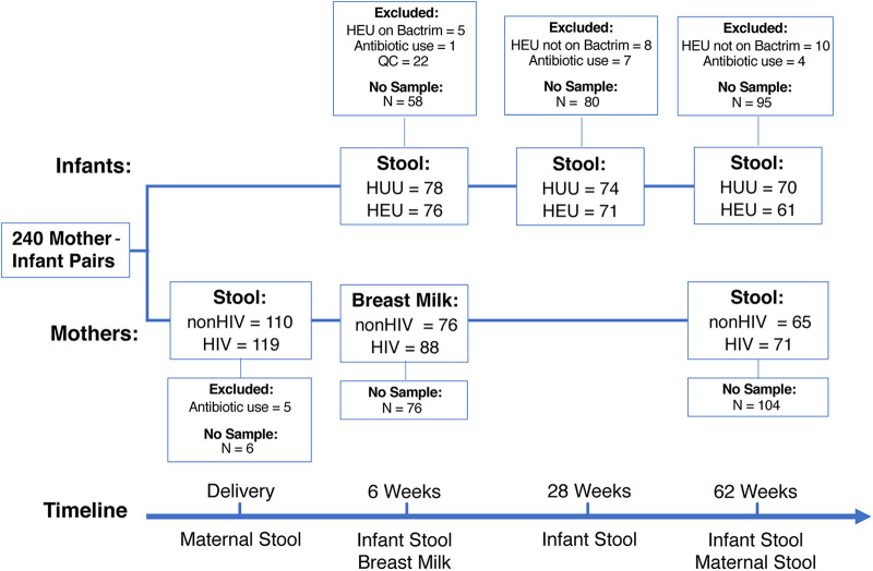 FIG 1