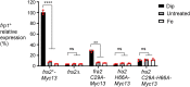 Figure 5