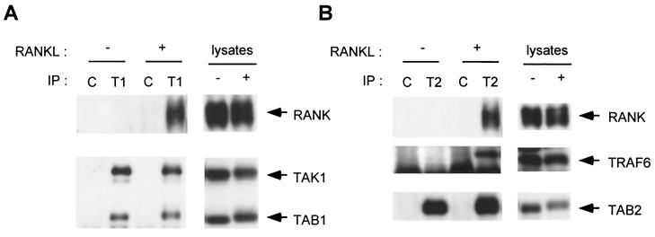 FIG. 5.