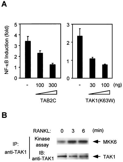 FIG. 8.