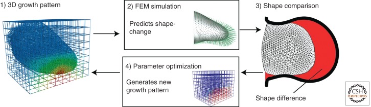 Figure 5.