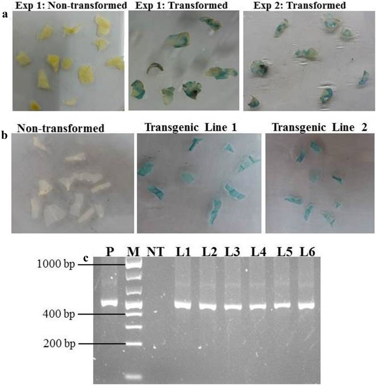 Fig. 4