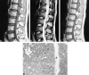 <sc>fig</sc> 1.