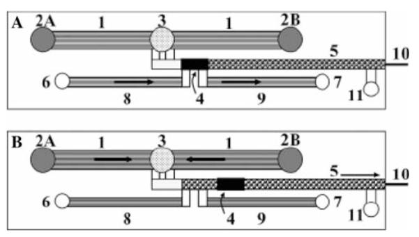 Fig. 12