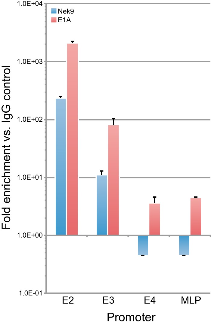 FIG 3