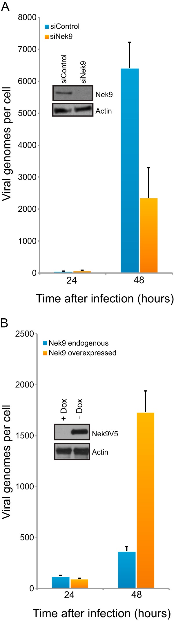 FIG 4