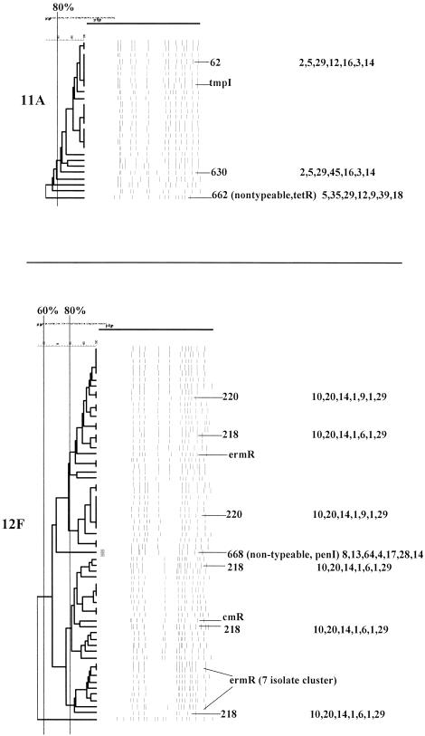 FIG. 7.