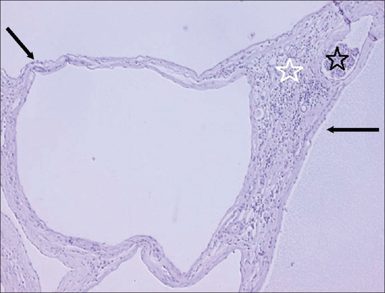 Figure 3b