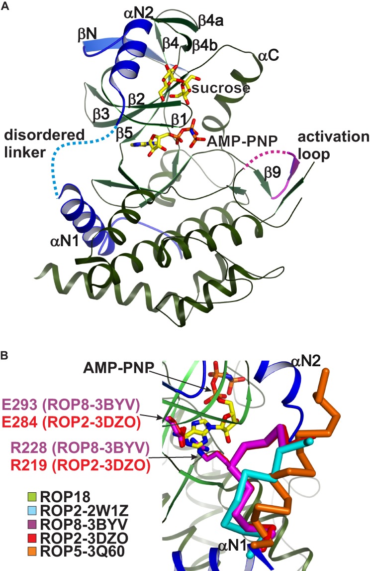 FIGURE 1.