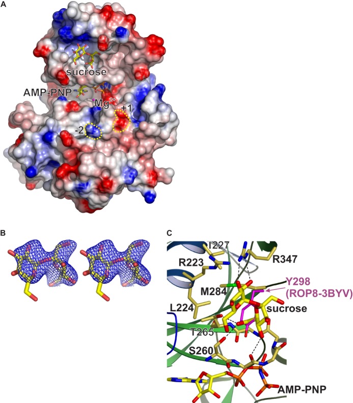 FIGURE 3.