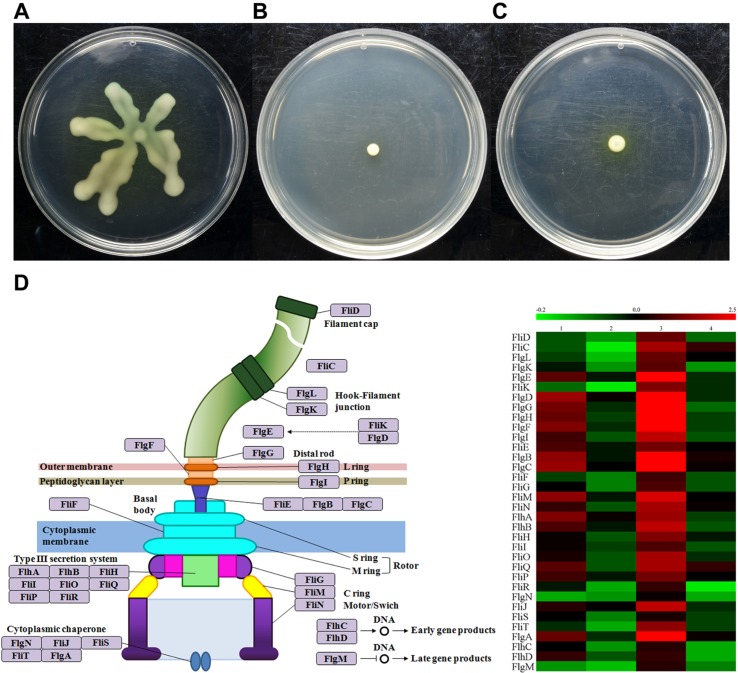 Fig. 4.