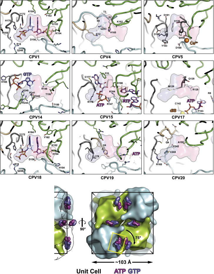 Fig. 4