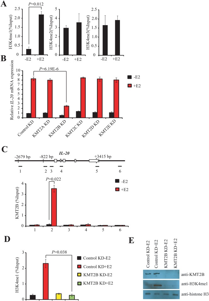 Fig 3