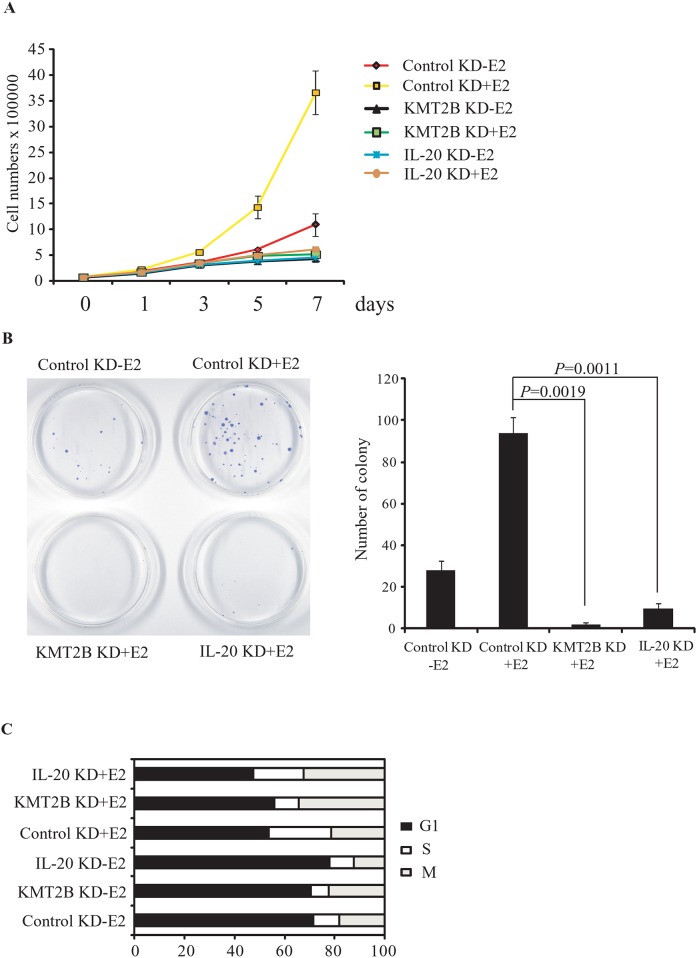 Fig 6