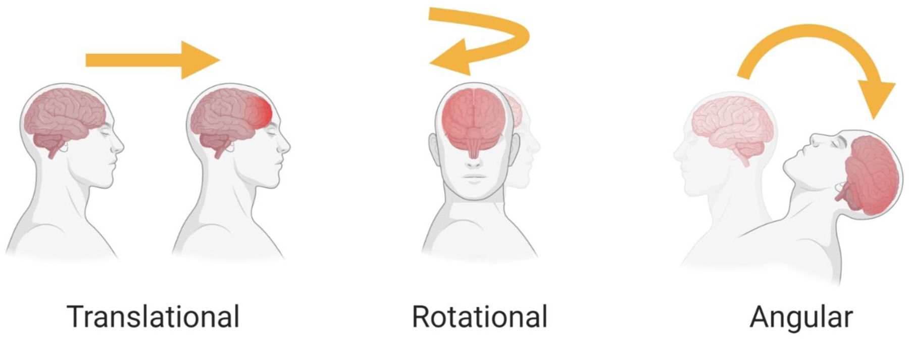 Figure 4: