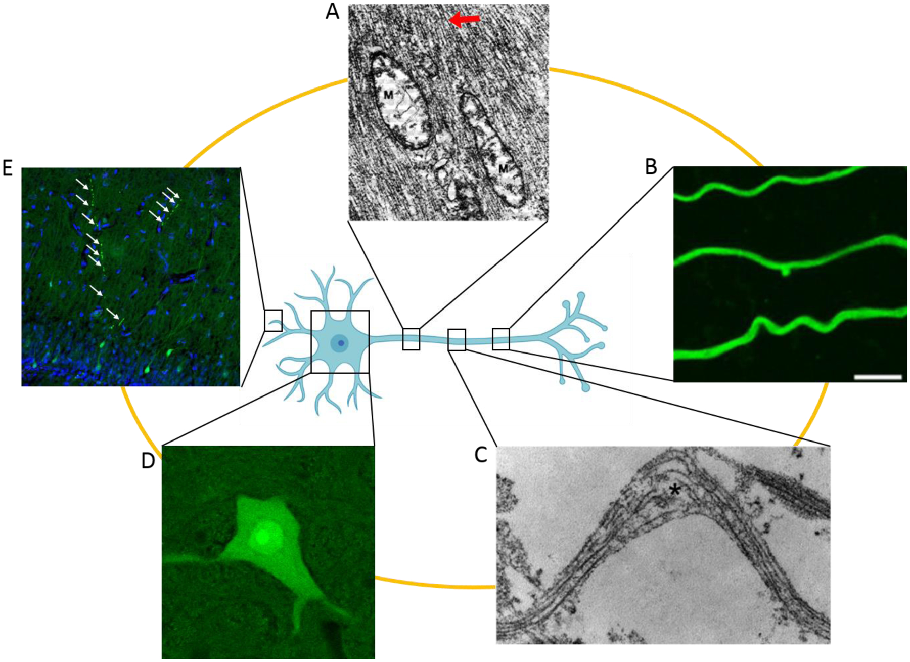 Figure 5: