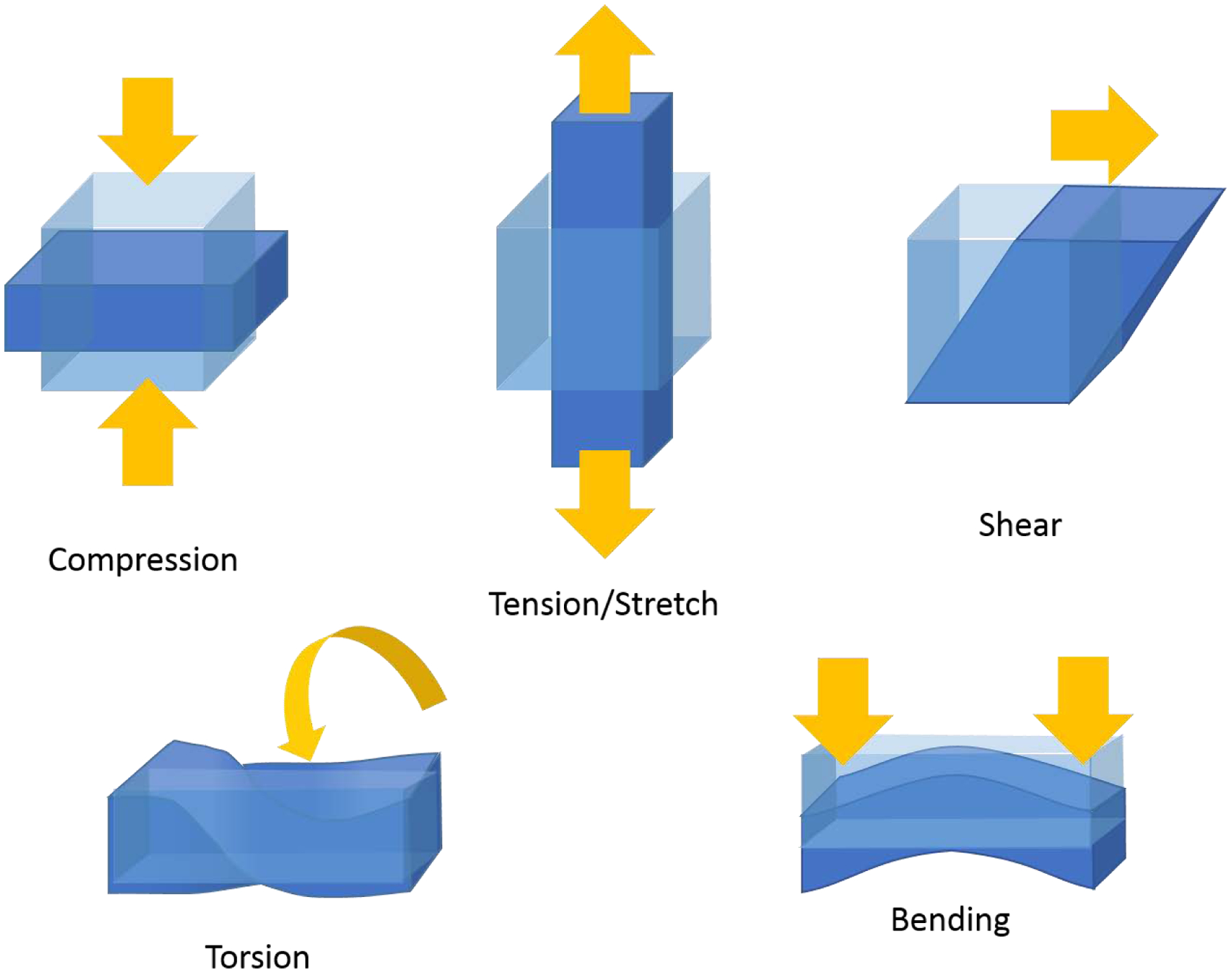 Figure 1: