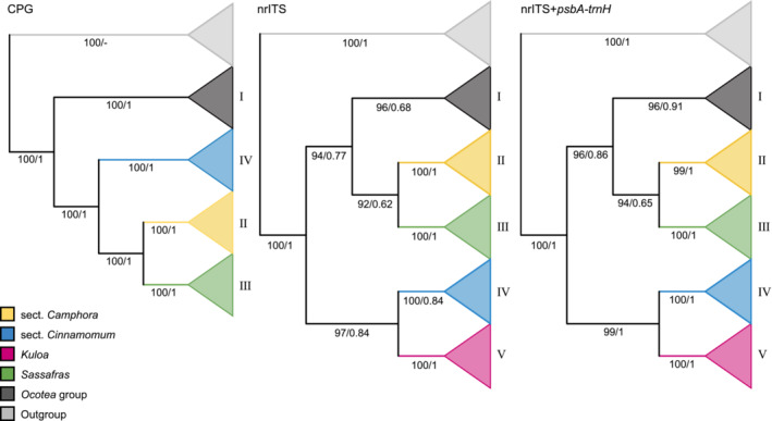 FIGURE 3