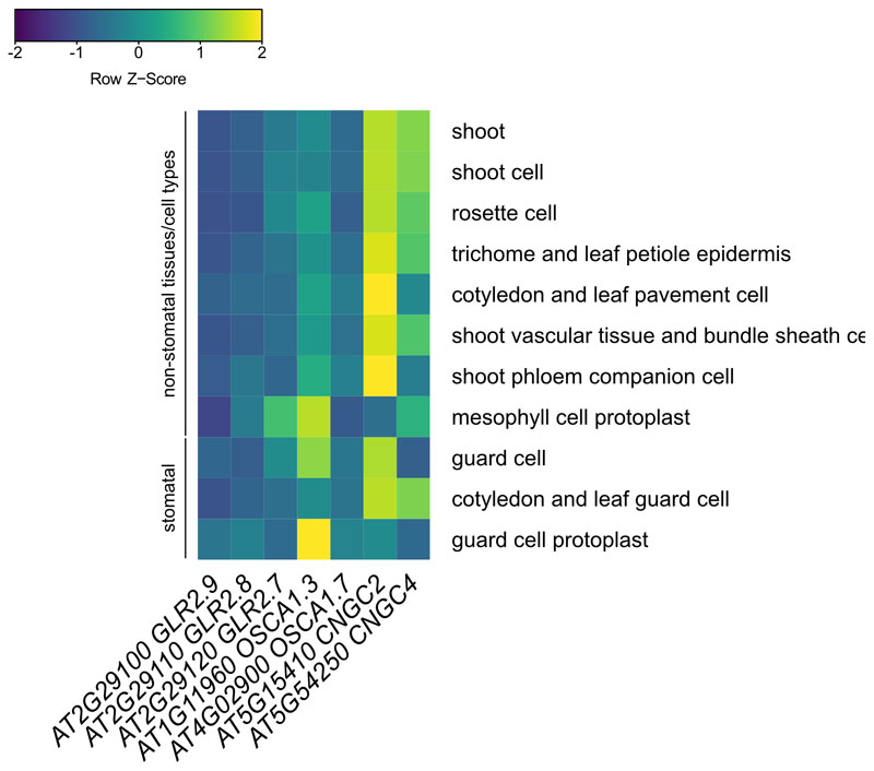 Extended Data Fig. 8