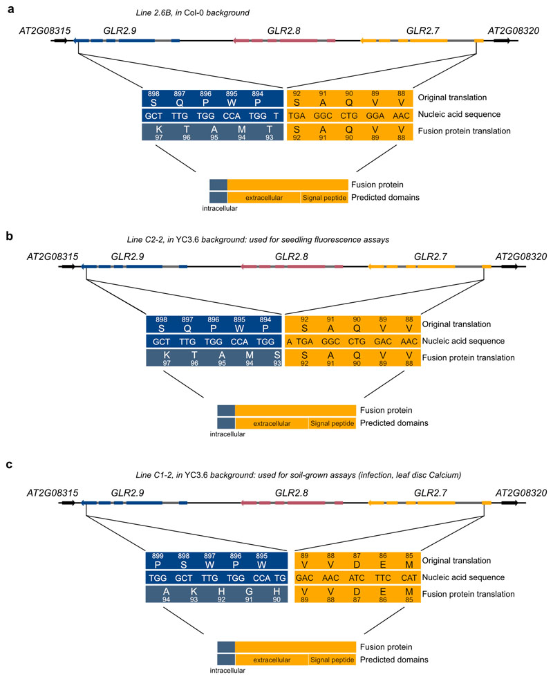 Extended Data Fig. 6