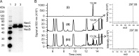 FIG 6