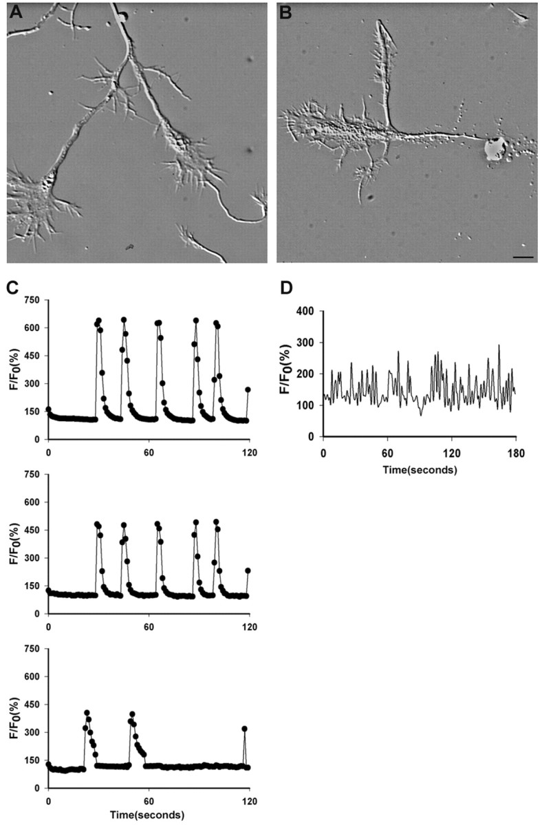 Fig. 3.