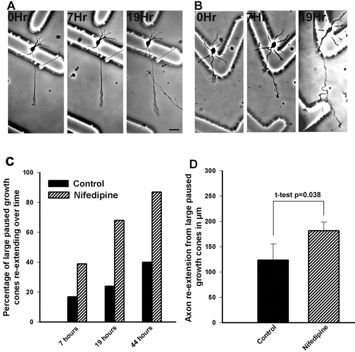 Fig. 8.