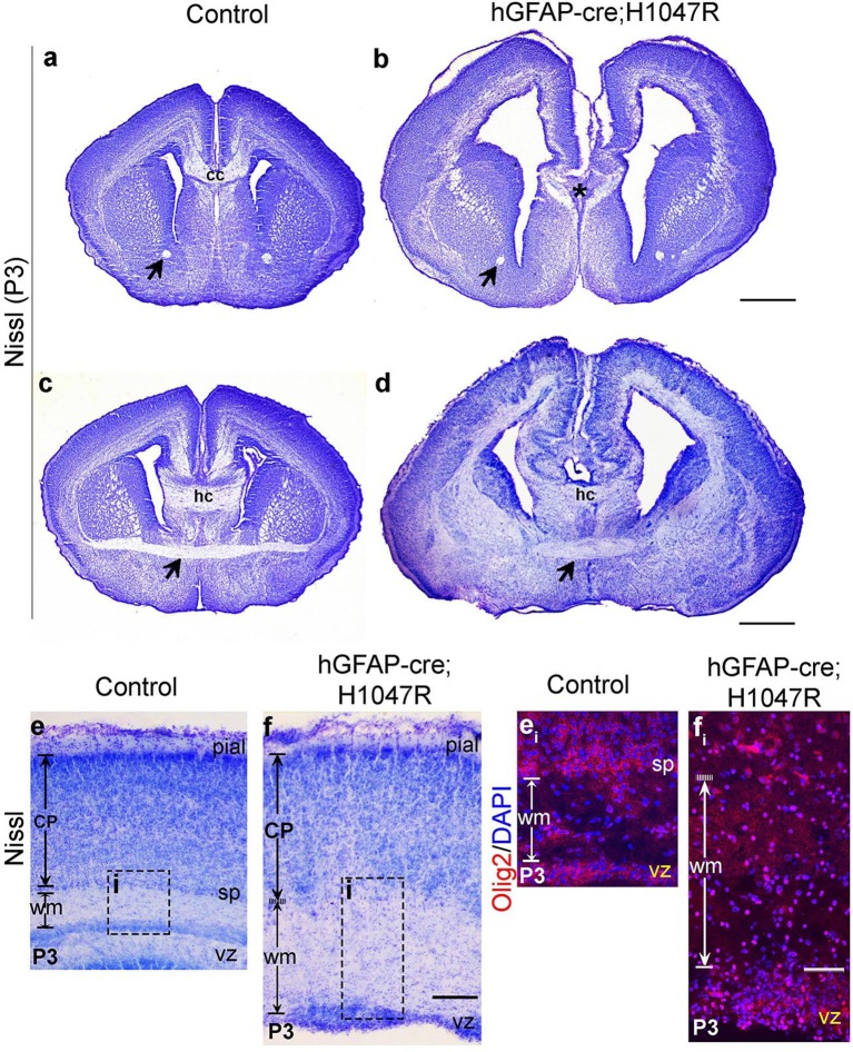 Figure 4—figure supplement 2.