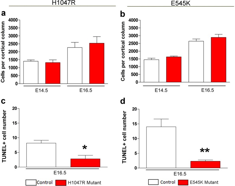 Figure 3—figure supplement 1.