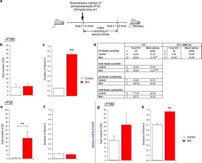 Figure 7—figure supplement 1.